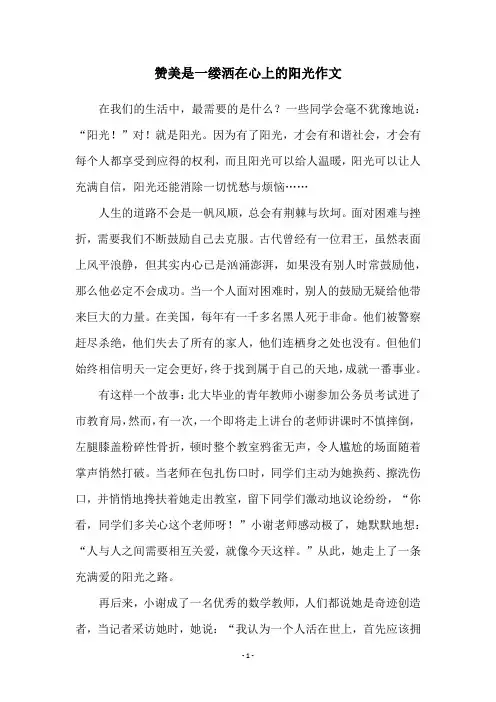 赞美是一缕洒在心上的阳光作文