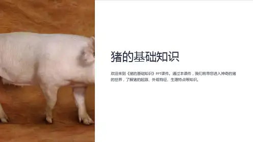 《猪的基础知识》课件