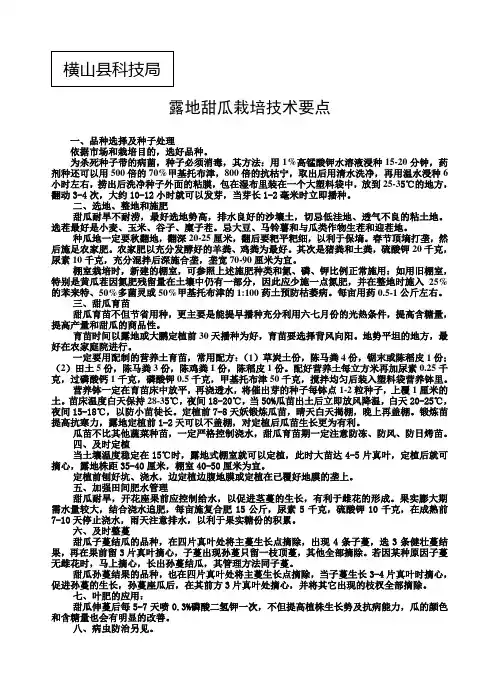 16K露地甜瓜栽培技术要点