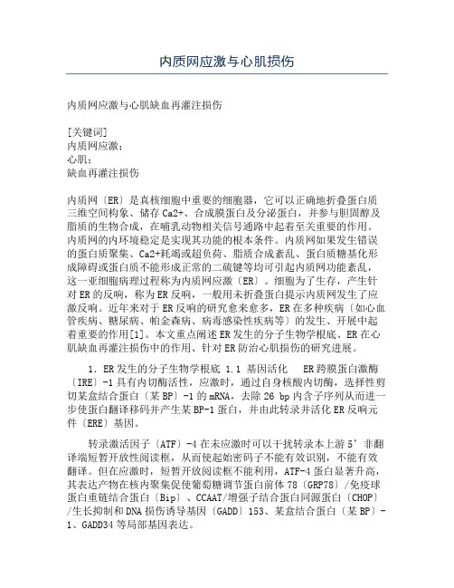 内质网应激与心肌损伤