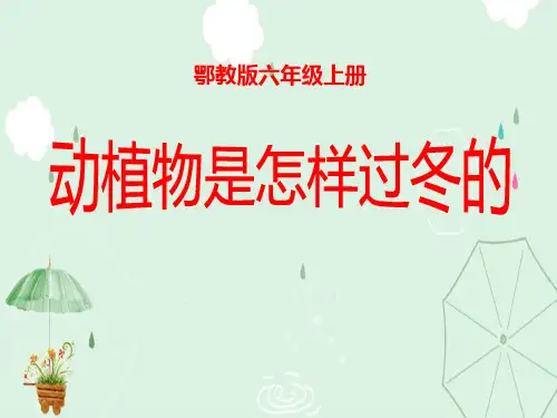 《动植物是怎样过冬的》四季中的变化PPT课件