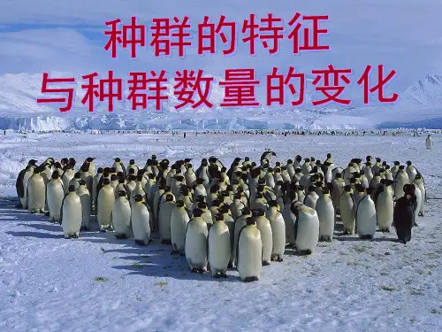 种群特征、种群数量变化