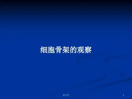 细胞骨架的观察PPT学习教案