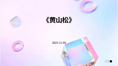 《黄山松》