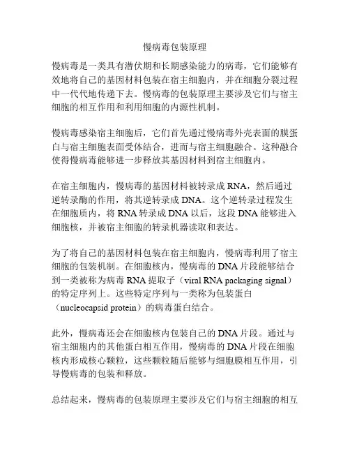慢病毒包装原理