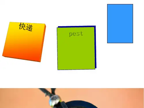 快递pest分析及战略教材(PPT 30张)