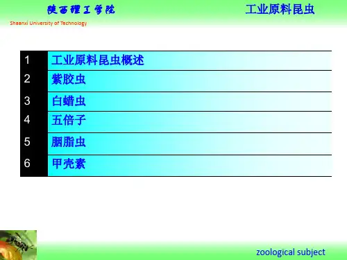 资源昆虫学工业原料昆虫介绍