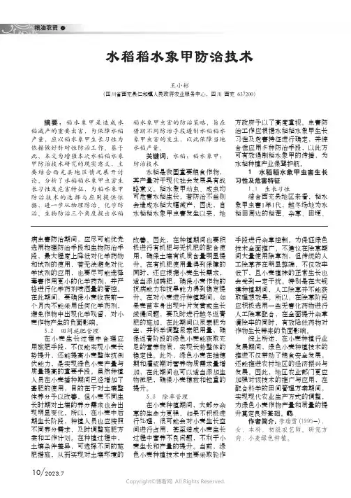 水稻稻水象甲防治技术