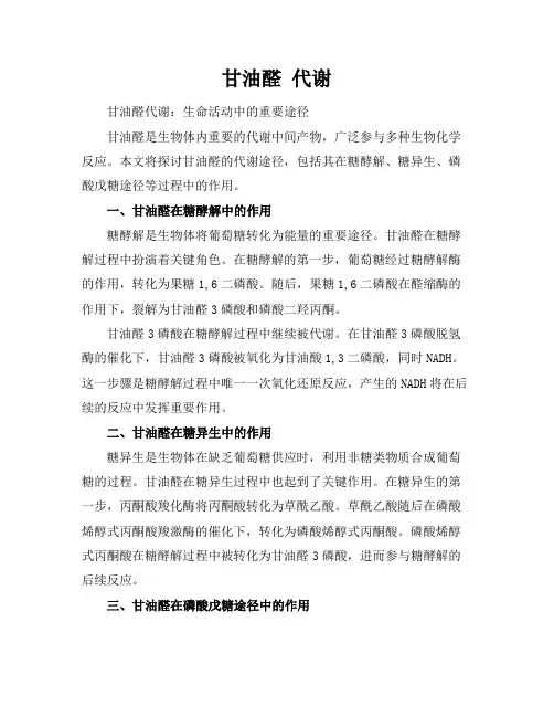 甘油醛 代谢