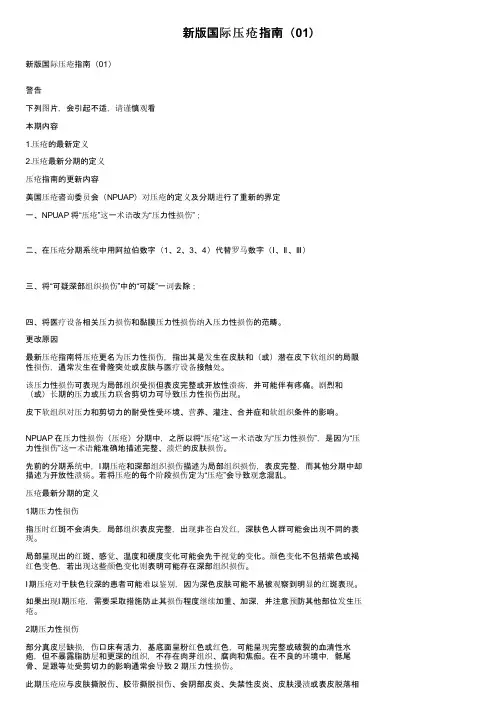 新版国际压疮指南（01）
