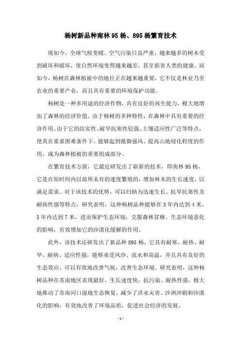 杨树新品种南林95杨、895杨繁育技术
