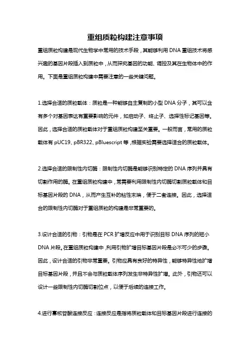 重组质粒构建注意事项