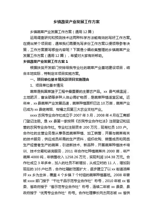 乡镇蔬菜产业发展工作方案（通用12篇）