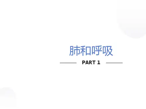 小学科学五年级科学上册肺和呼吸