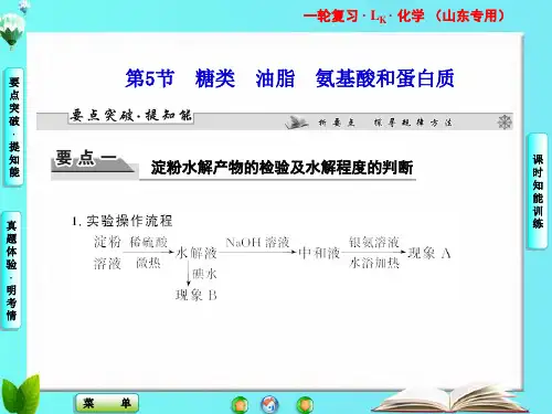 山东省高考化学一轮复习 第5节 糖类 油脂 氨基酸和蛋白质 选修2