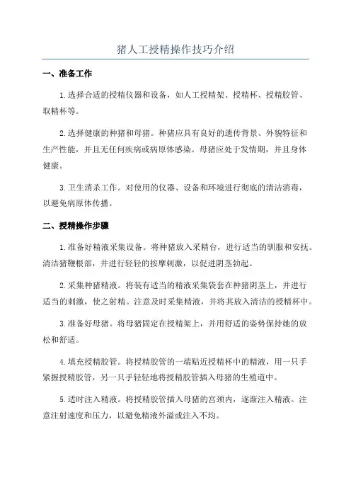 猪人工授精操作技巧介绍