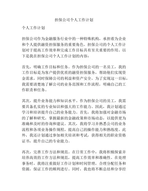 担保公司个人工作计划