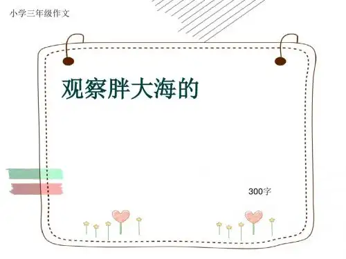 小学三年级作文《观察胖大海的》300字(共6页PPT)