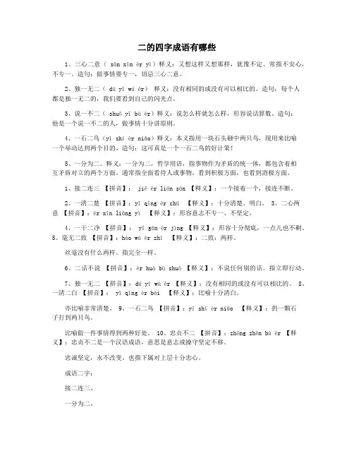二的四字成语有哪些