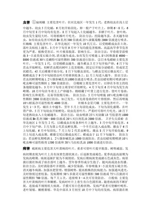 黄杨病虫害
