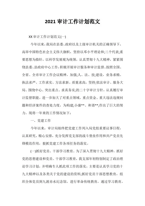 2021审计工作计划范文_3