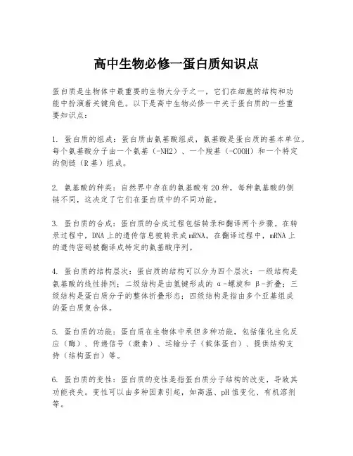 高中生物必修一蛋白质知识点