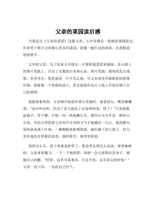父亲的菜园读后感