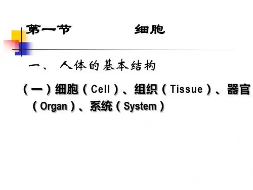第二章人体基本组成精品