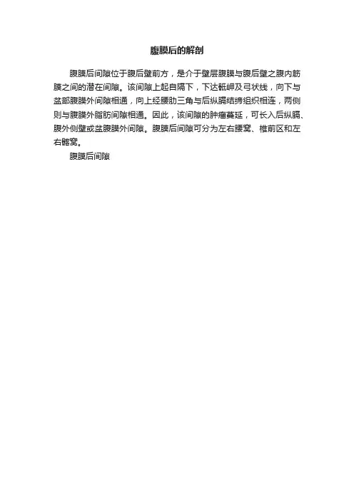 腹膜后的解剖