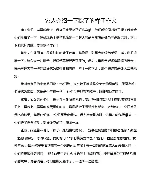 家人介绍一下粽子的样子作文