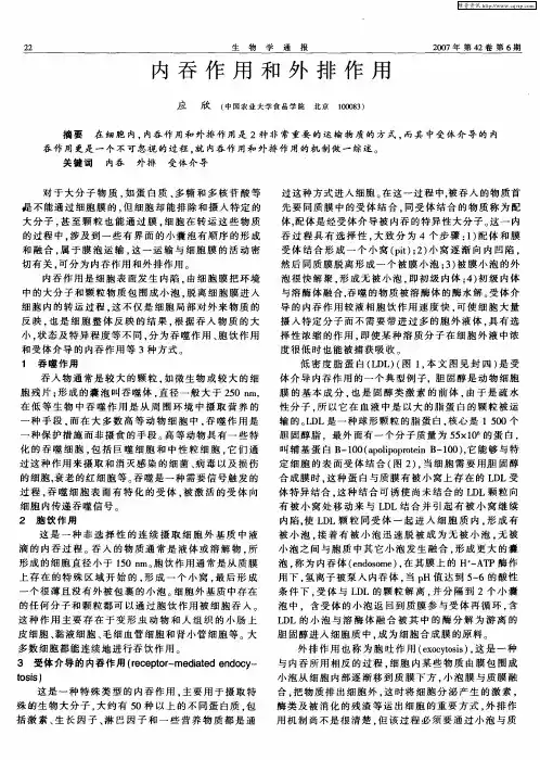 内吞作用和外排作用