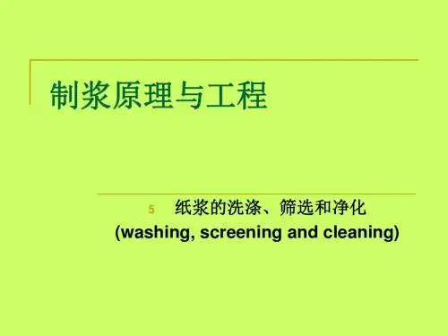 制浆原理与工程洗筛漂
