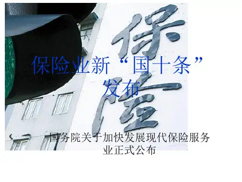 保险国十条