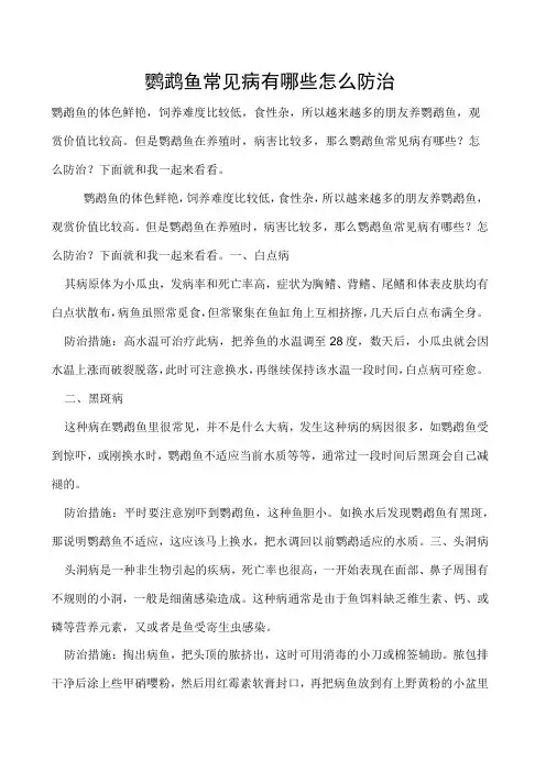 鹦鹉鱼常见病有哪些怎么防治