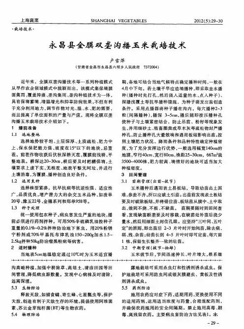 永昌县全膜双垄沟播玉米栽培技术