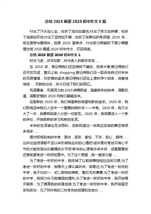 总结2019展望2020初中作文5篇