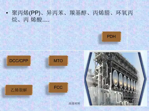 丙烷脱氢(PDH)介绍(格式整齐)