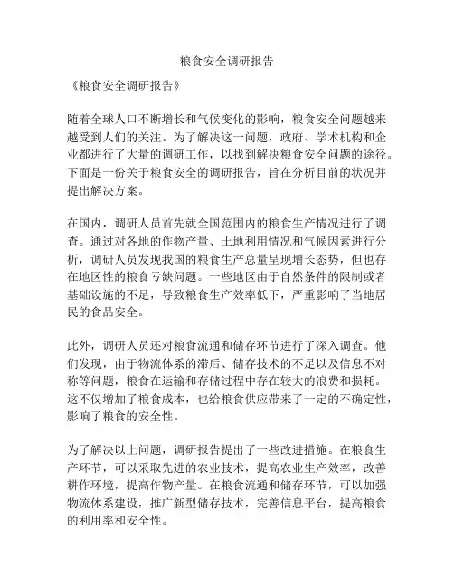 粮食安全调研报告