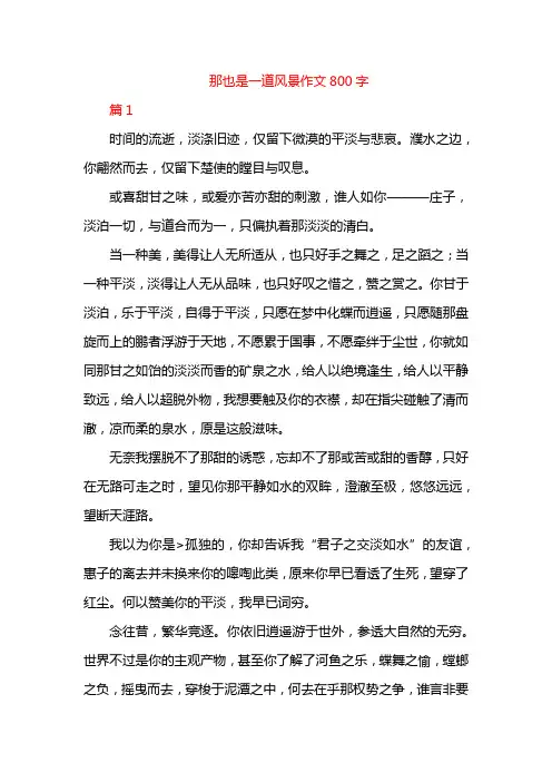 那也是一道风景作文800字
