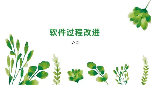 软件过程改进