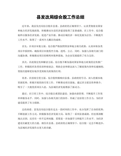 县发改局综合股工作总结