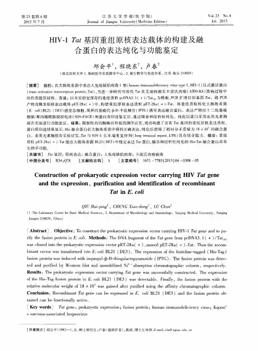 HIV-1 Tat基因重组原核表达载体的构建及融合蛋白的表达纯化与功能鉴定