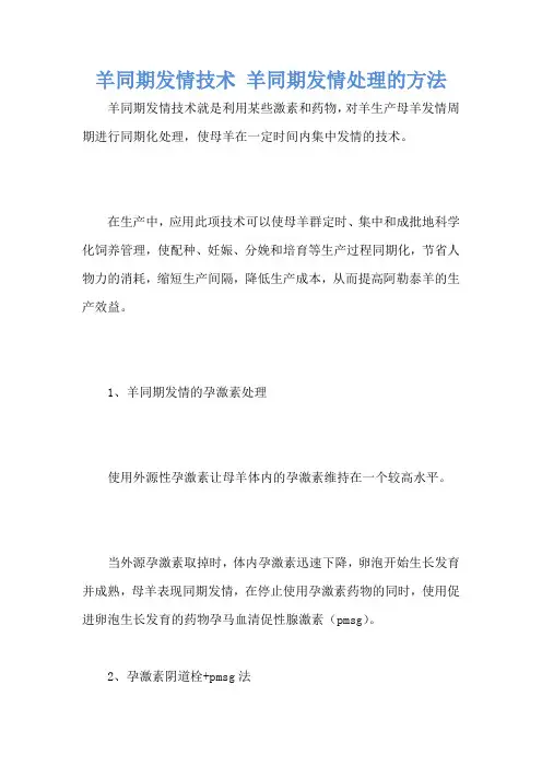 羊同期发情技术 羊同期发情处理的方法