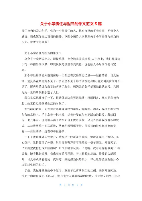 关于小学责任与担当的作文范文5篇