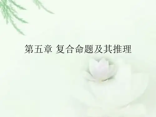 第五章 复合命题及其推理1-3