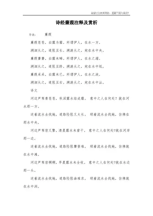 诗经蒹葭注释及赏析