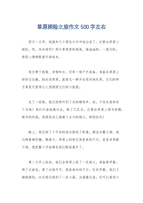 草原探险之旅作文500字左右