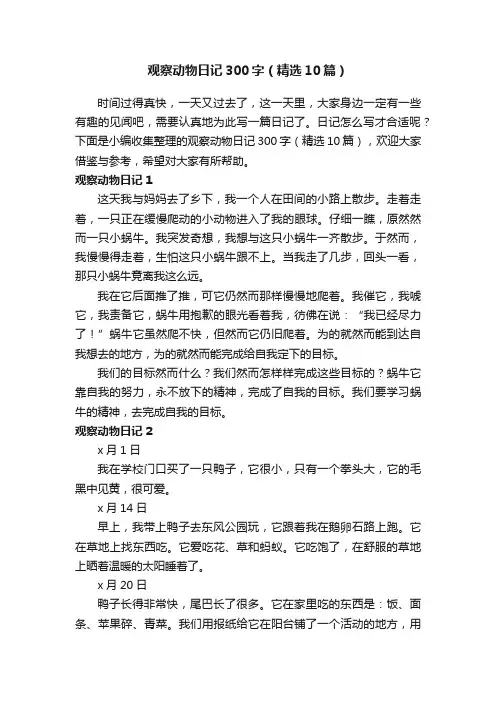 观察动物日记300字（精选10篇）