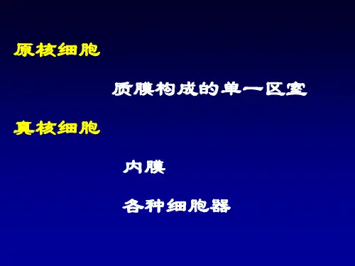 内膜系统PPT课件