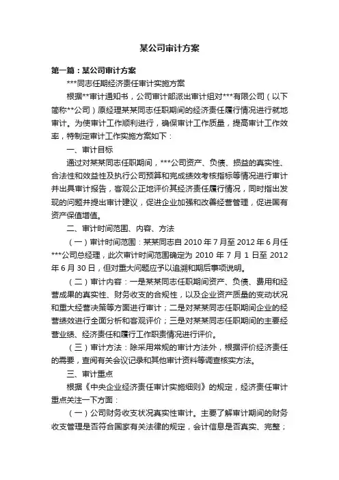 某公司审计方案